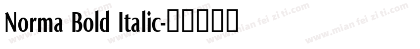 Norma Bold Italic字体转换